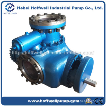 W. V Multi-phase Heavy Oil Double Screw Pump